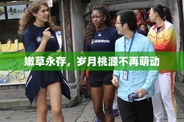 嫩草永存，岁月桃源不再萌动