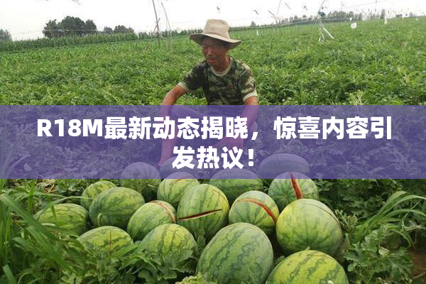R18M最新动态揭晓，惊喜内容引发热议！