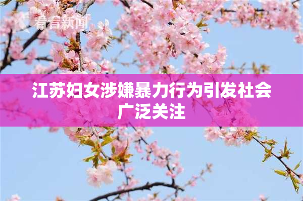 江苏妇女涉嫌暴力行为引发社会广泛关注