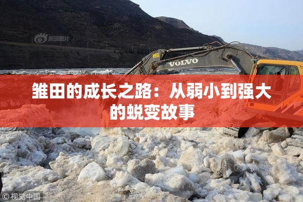 雏田的成长之路：从弱小到强大的蜕变故事