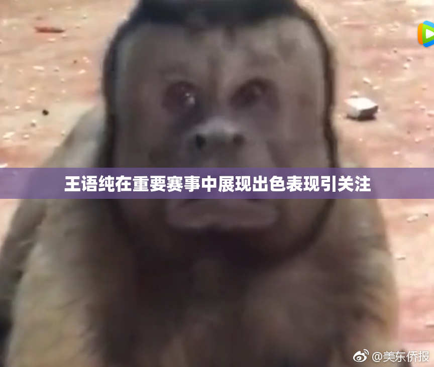 王语纯在重要赛事中展现出色表现引关注