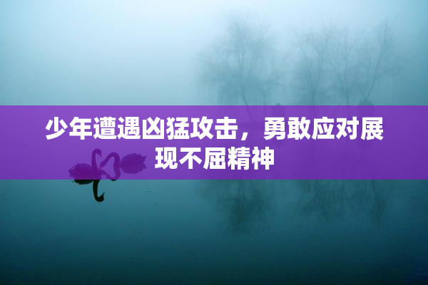 少年遭遇凶猛攻击，勇敢应对展现不屈精神