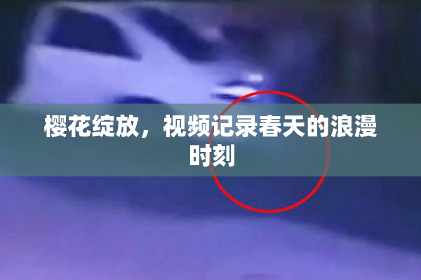 樱花绽放，视频记录春天的浪漫时刻