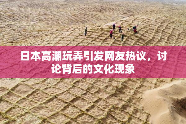日本高潮玩弄引发网友热议，讨论背后的文化现象