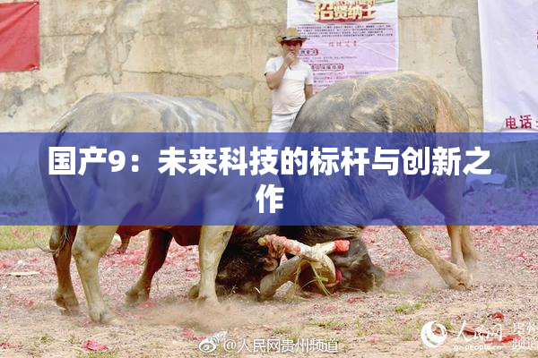 国产9：未来科技的标杆与创新之作