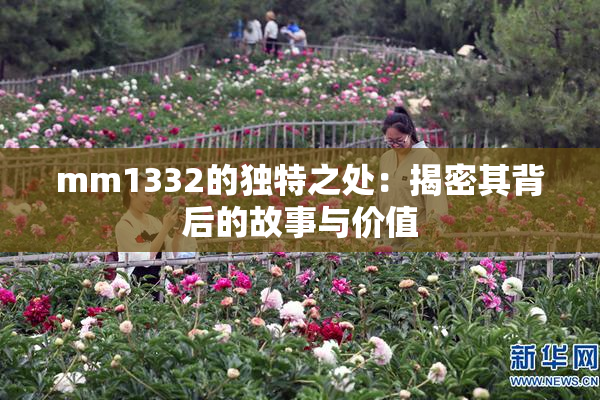mm1332的独特之处：揭密其背后的故事与价值