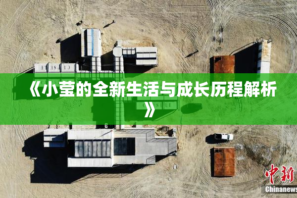 《小莹的全新生活与成长历程解析》