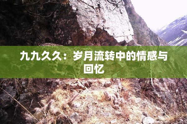 九九久久：岁月流转中的情感与回忆