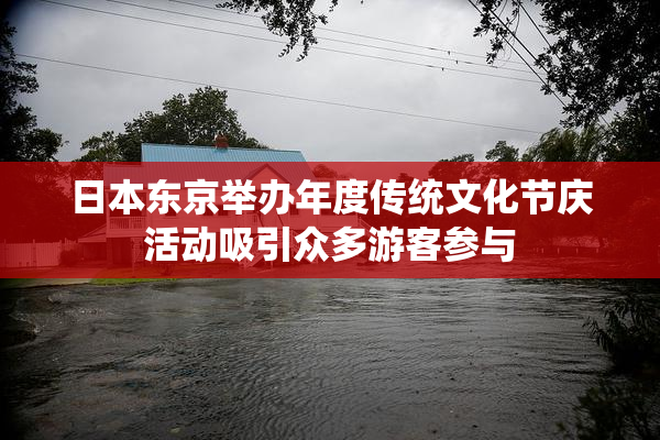 日本东京举办年度传统文化节庆活动吸引众多游客参与