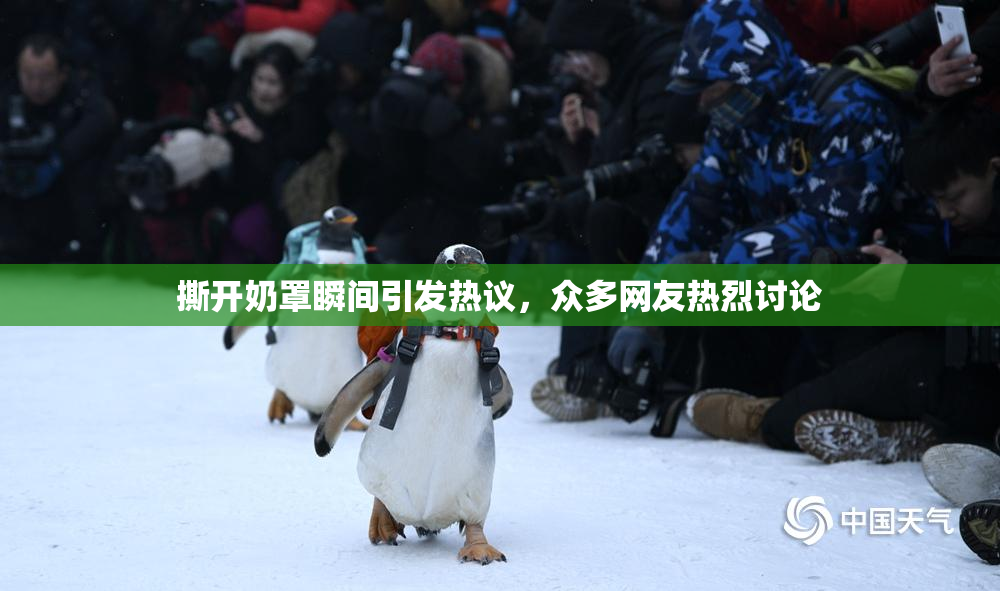 撕开奶罩瞬间引发热议，众多网友热烈讨论