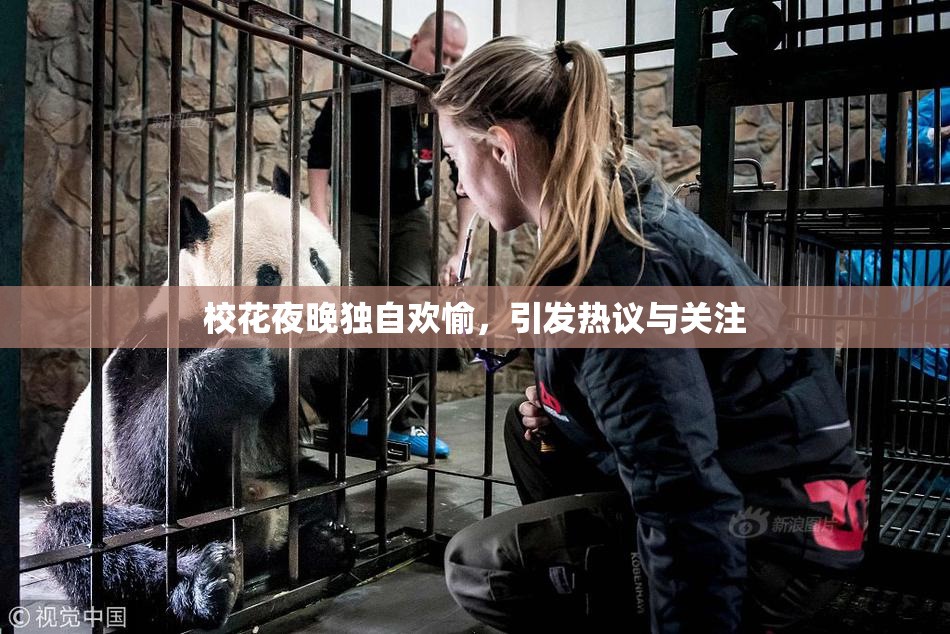 校花夜晚独自欢愉，引发热议与关注
