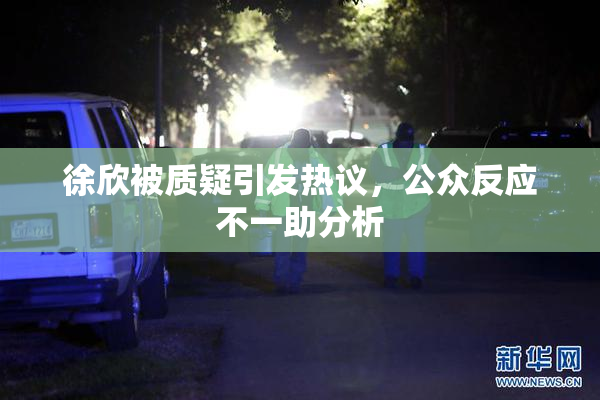 徐欣被质疑引发热议，公众反应不一助分析
