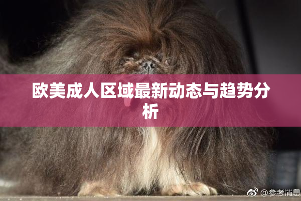 欧美成人区域最新动态与趋势分析