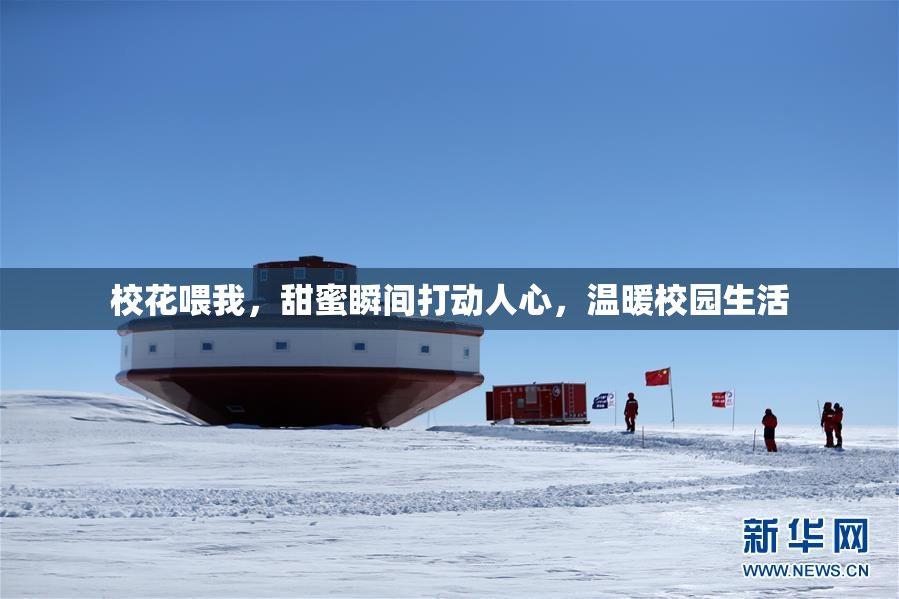 校花喂我，甜蜜瞬间打动人心，温暖校园生活