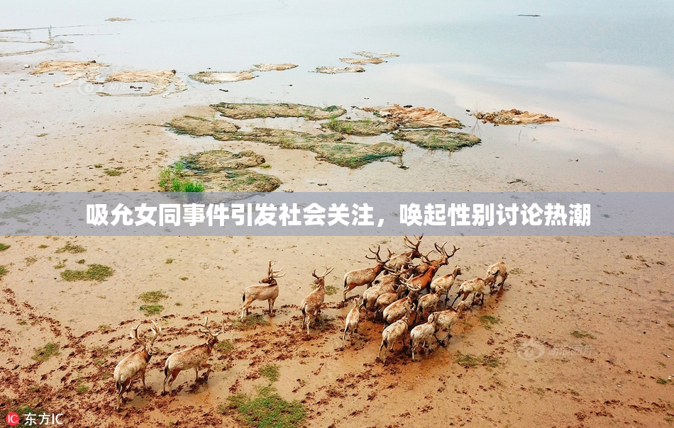 吸允女同事件引发社会关注，唤起性别讨论热潮