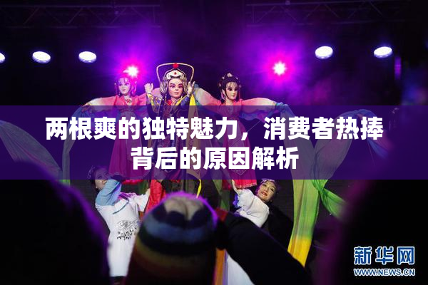 两根爽的独特魅力，消费者热捧背后的原因解析