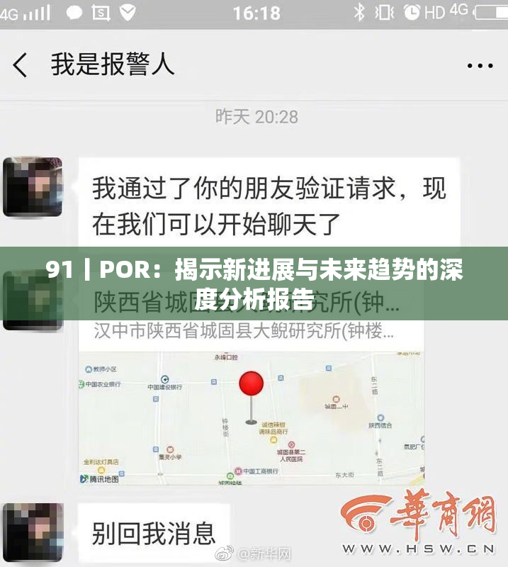 91丨POR：揭示新进展与未来趋势的深度分析报告