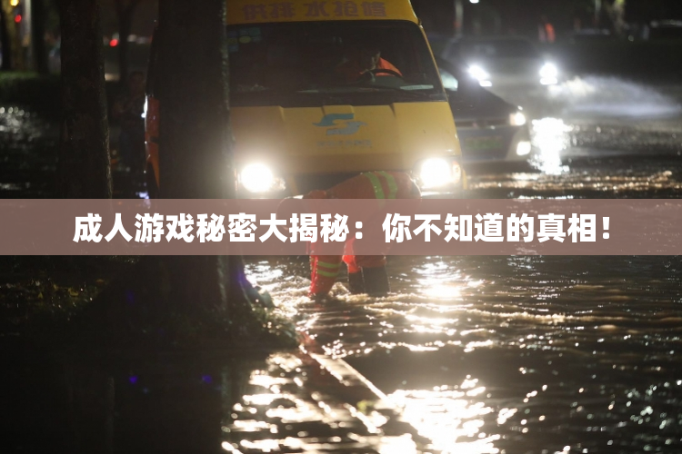 成人游戏秘密大揭秘：你不知道的真相！
