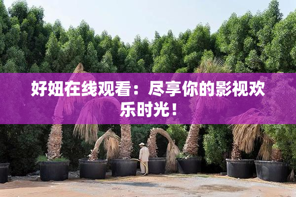 好妞在线观看：尽享你的影视欢乐时光！