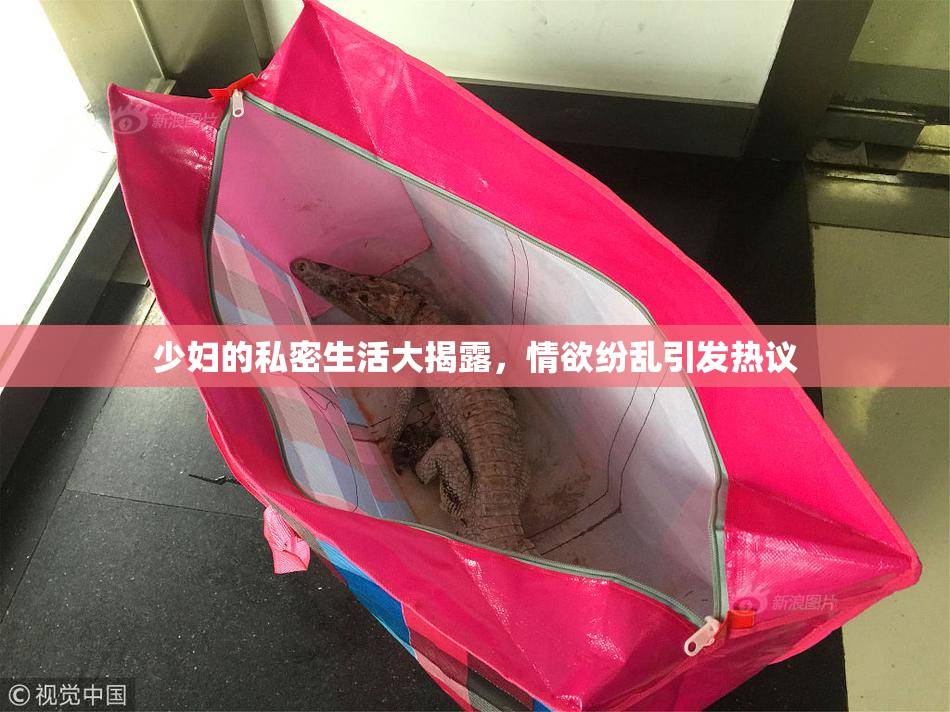 少妇的私密生活大揭露，情欲纷乱引发热议
