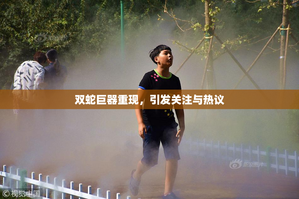 双蛇巨器重现，引发关注与热议