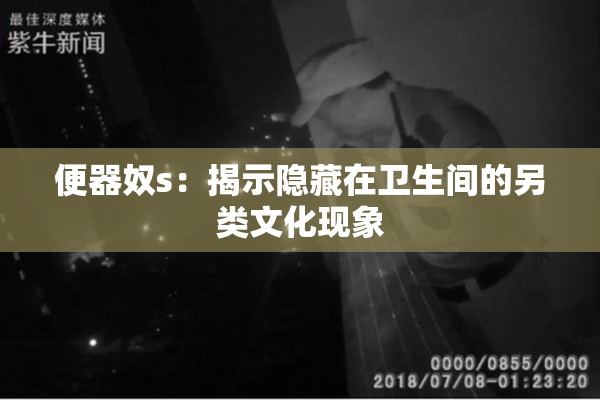 便器奴s：揭示隐藏在卫生间的另类文化现象