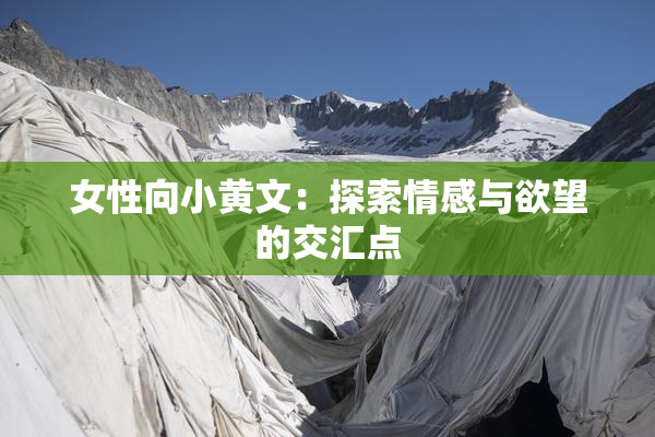 女性向小黄文：探索情感与欲望的交汇点