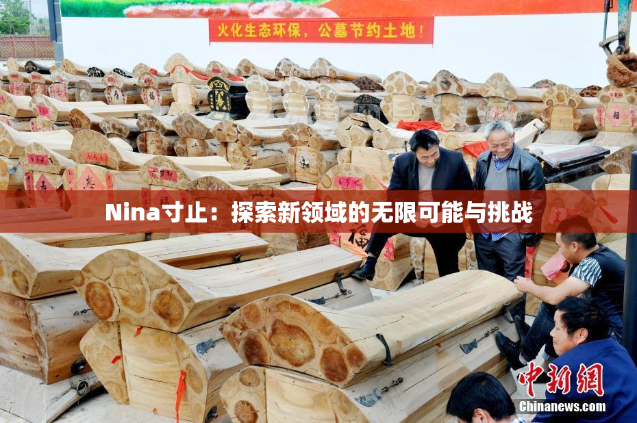 Nina寸止：探索新领域的无限可能与挑战
