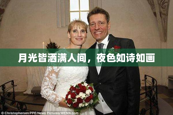 月光皆洒满人间，夜色如诗如画