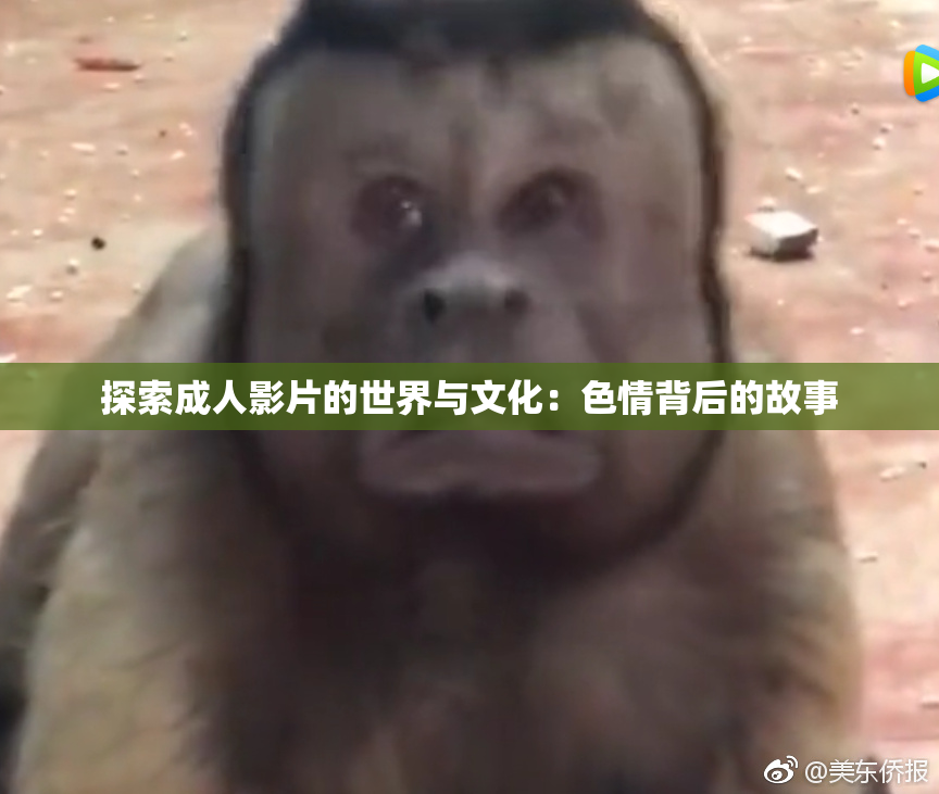 探索成人影片的世界与文化：色情背后的故事