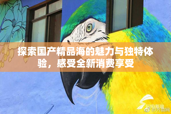 探索国产精品海的魅力与独特体验，感受全新消费享受