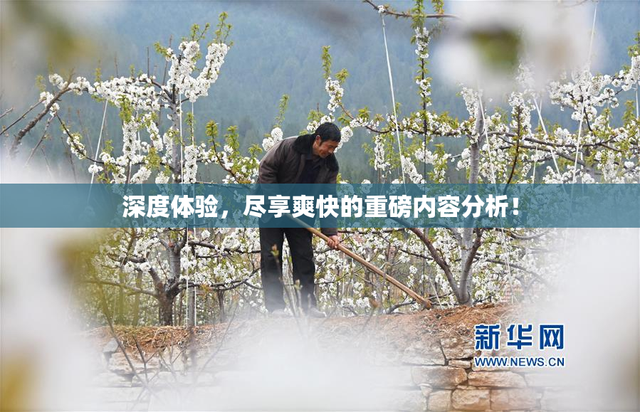 深度体验，尽享爽快的重磅内容分析！