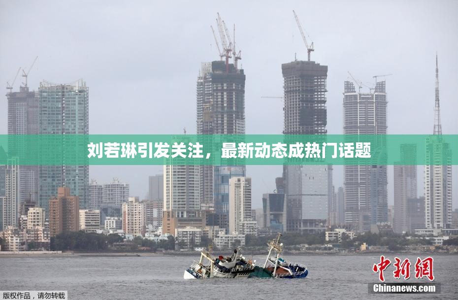 刘若琳引发关注，最新动态成热门话题