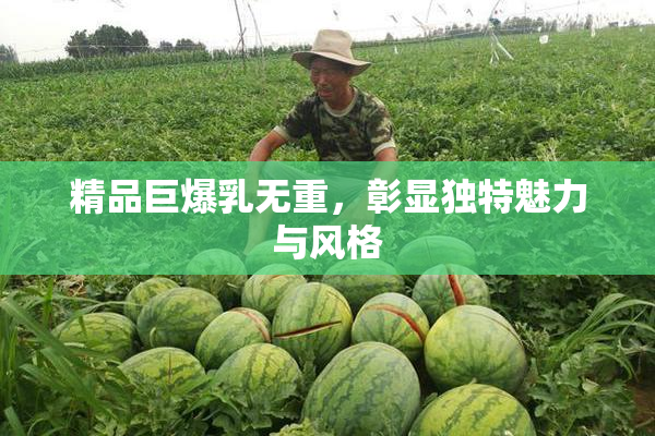 精品巨爆乳无重，彰显独特魅力与风格
