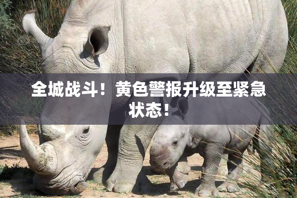 全城战斗！黄色警报升级至紧急状态！