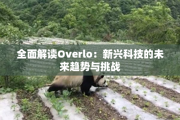 全面解读Overlo：新兴科技的未来趋势与挑战