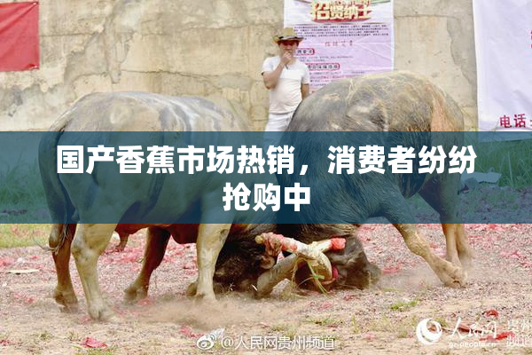 国产香蕉市场热销，消费者纷纷抢购中