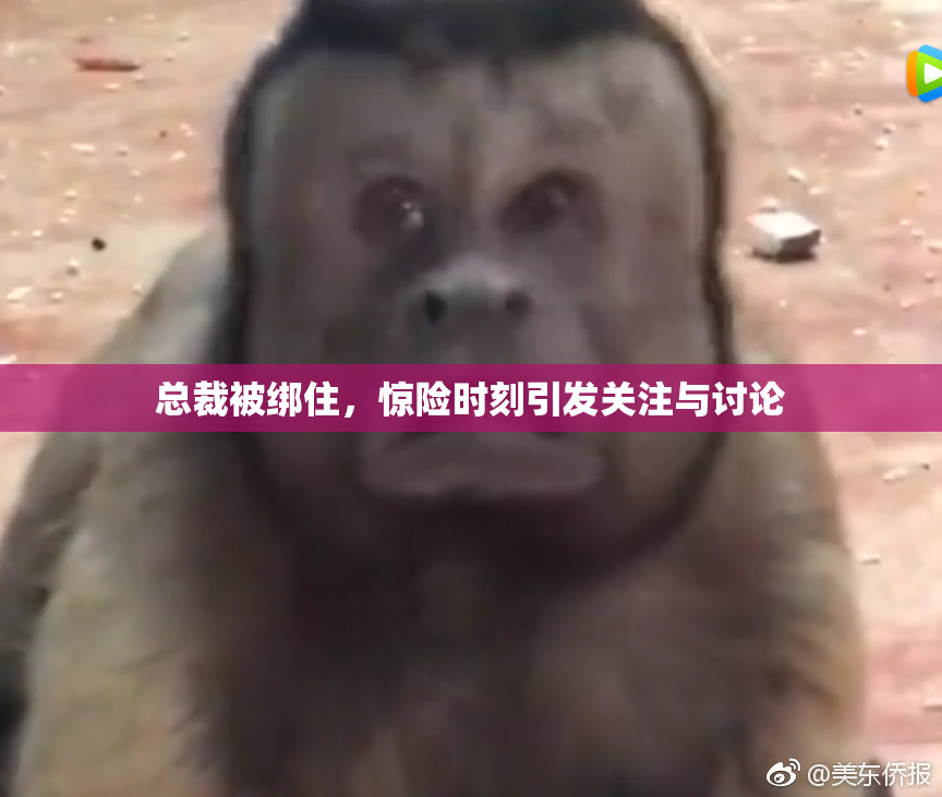 总裁被绑住，惊险时刻引发关注与讨论