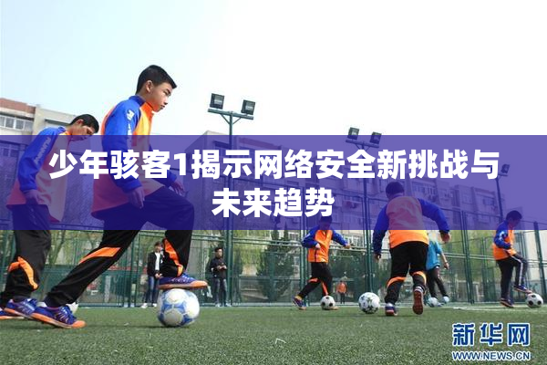 少年骇客1揭示网络安全新挑战与未来趋势