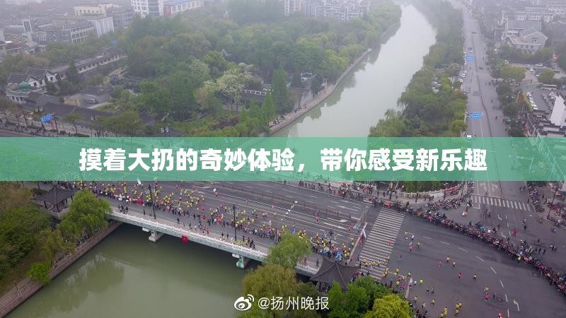 摸着大扔的奇妙体验，带你感受新乐趣