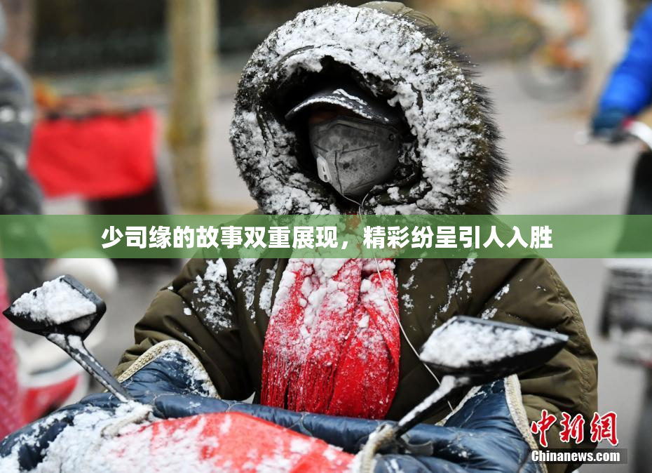 少司缘的故事双重展现，精彩纷呈引人入胜