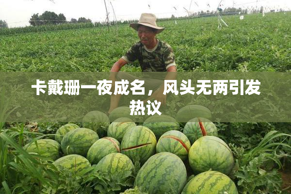 卡戴珊一夜成名，风头无两引发热议