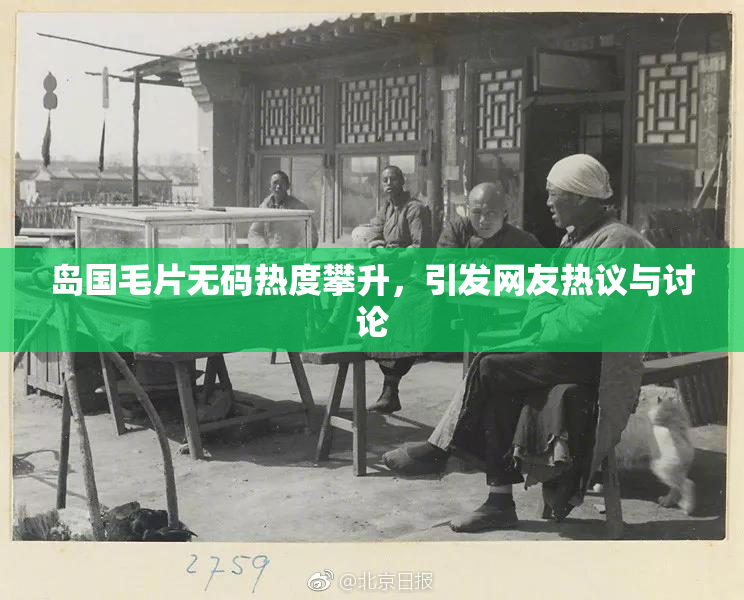 岛国毛片无码热度攀升，引发网友热议与讨论