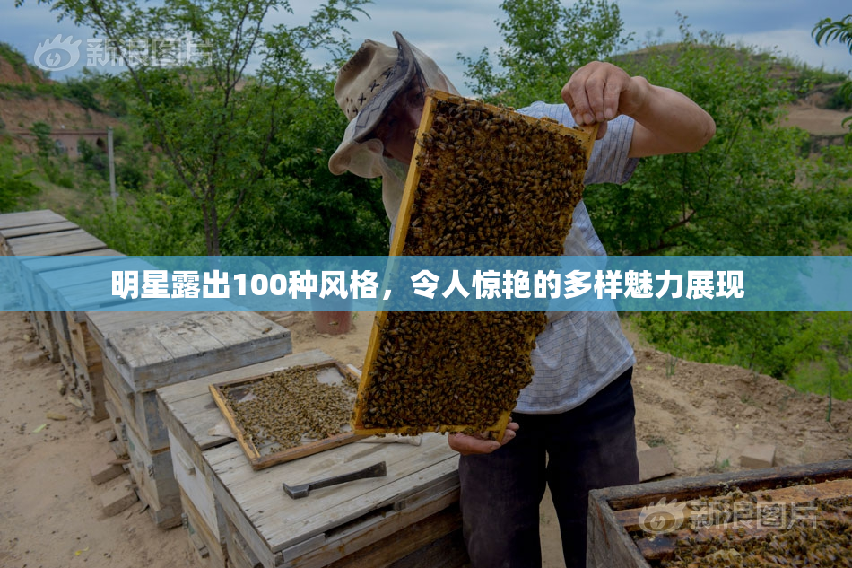 明星露出100种风格，令人惊艳的多样魅力展现