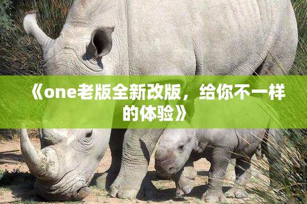 《one老版全新改版，给你不一样的体验》