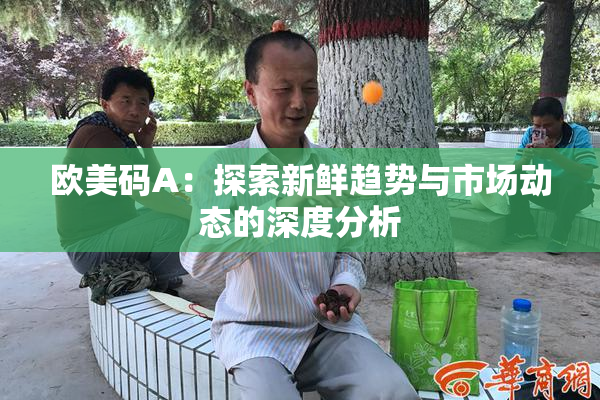 欧美码A：探索新鲜趋势与市场动态的深度分析