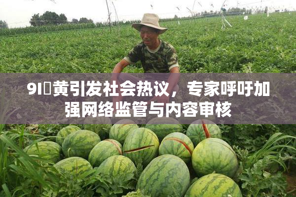 9I婬黄引发社会热议，专家呼吁加强网络监管与内容审核