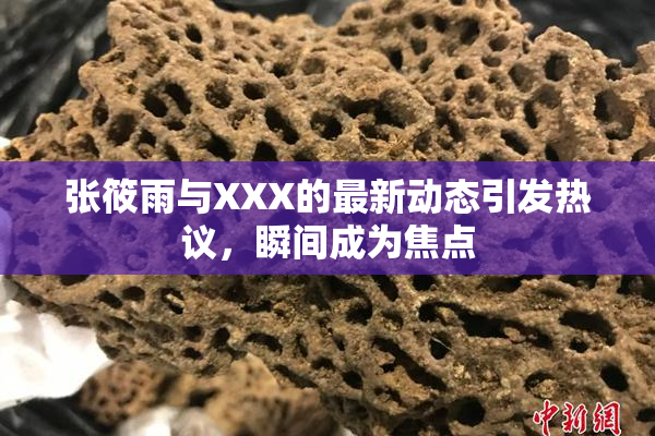张筱雨与XXX的最新动态引发热议，瞬间成为焦点