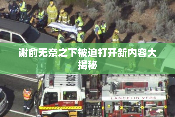 谢俞无奈之下被迫打开新内容大揭秘