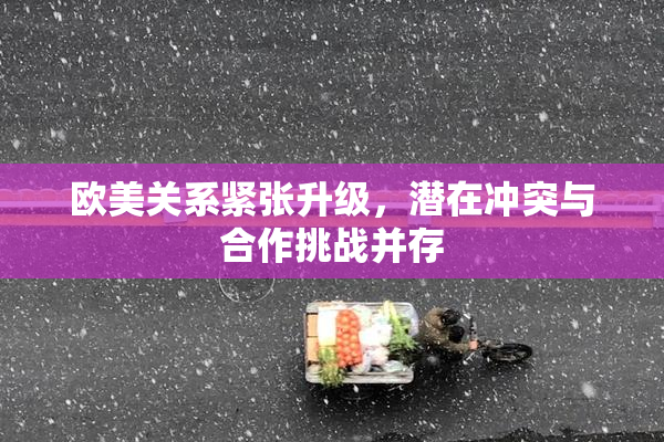 欧美关系紧张升级，潜在冲突与合作挑战并存
